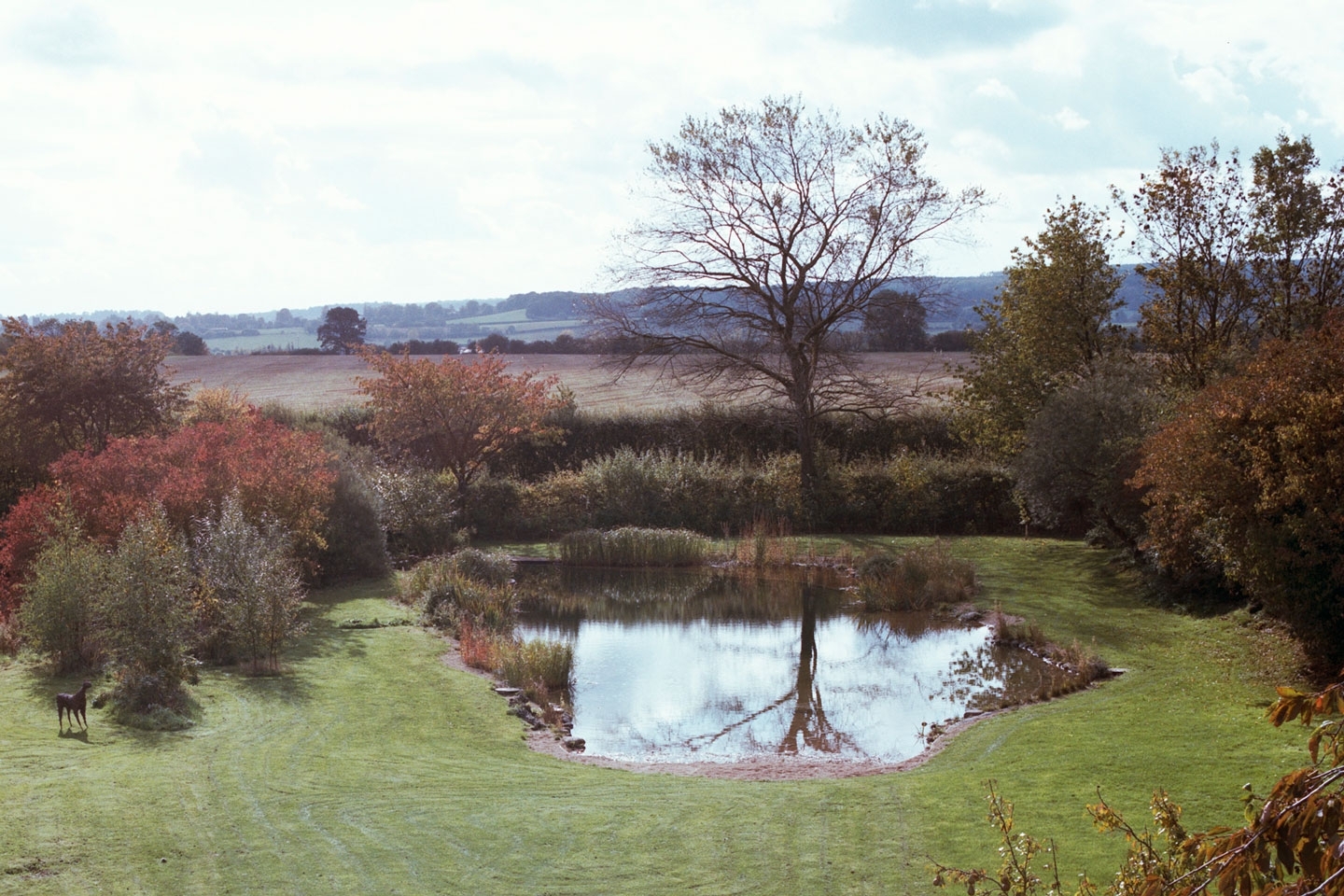 Gartenart | Portfolio | Swimming pond conversion, Bedfordshire