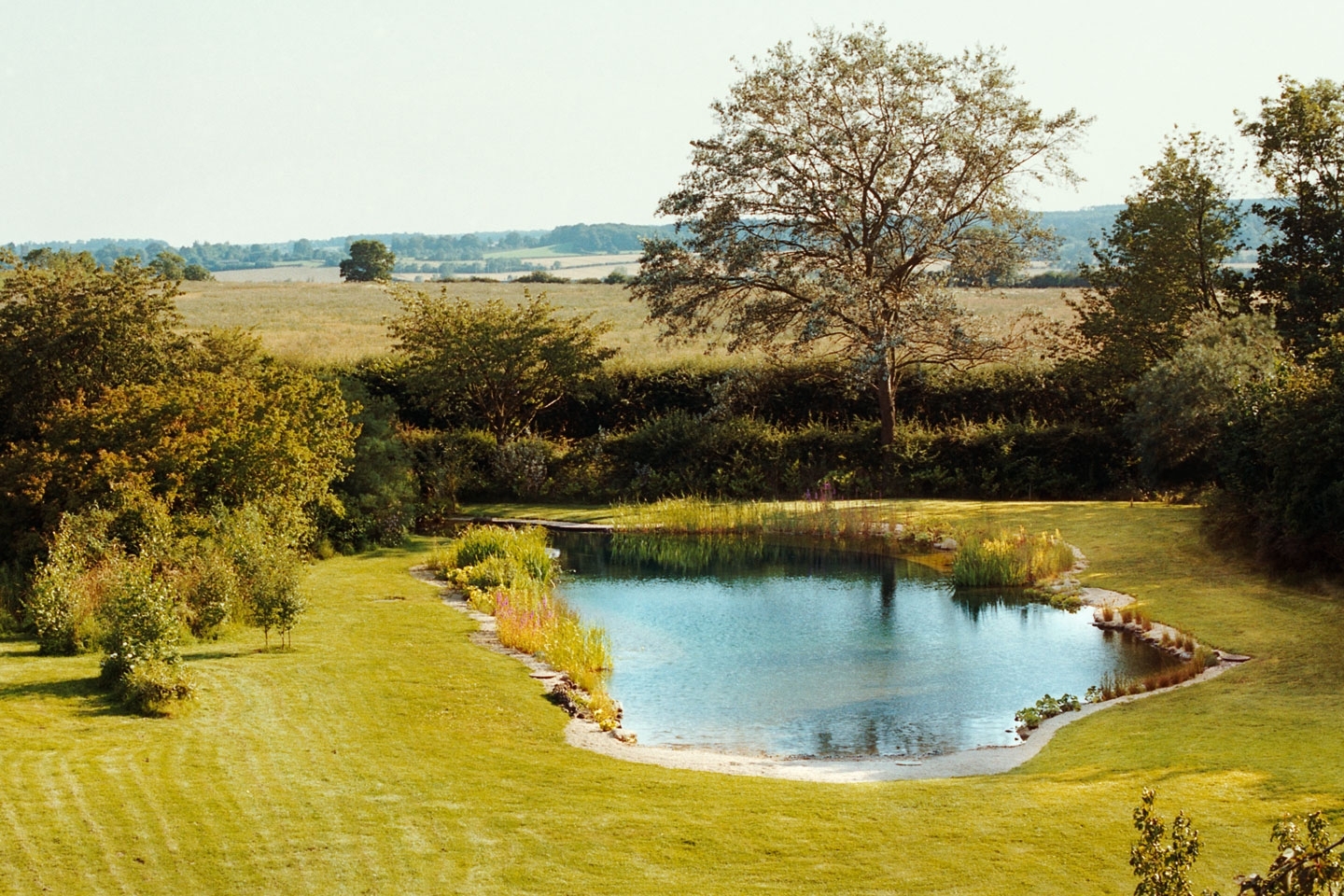 Gartenart | Portfolio | Swimming pond conversion, Bedfordshire