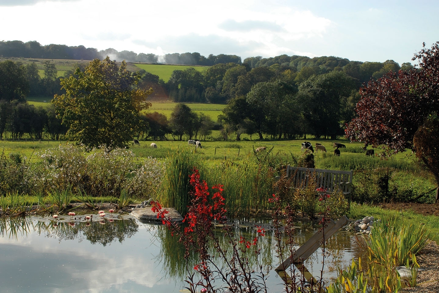 Gartenart | Portfolio | Swimming pond, Oxfordshire