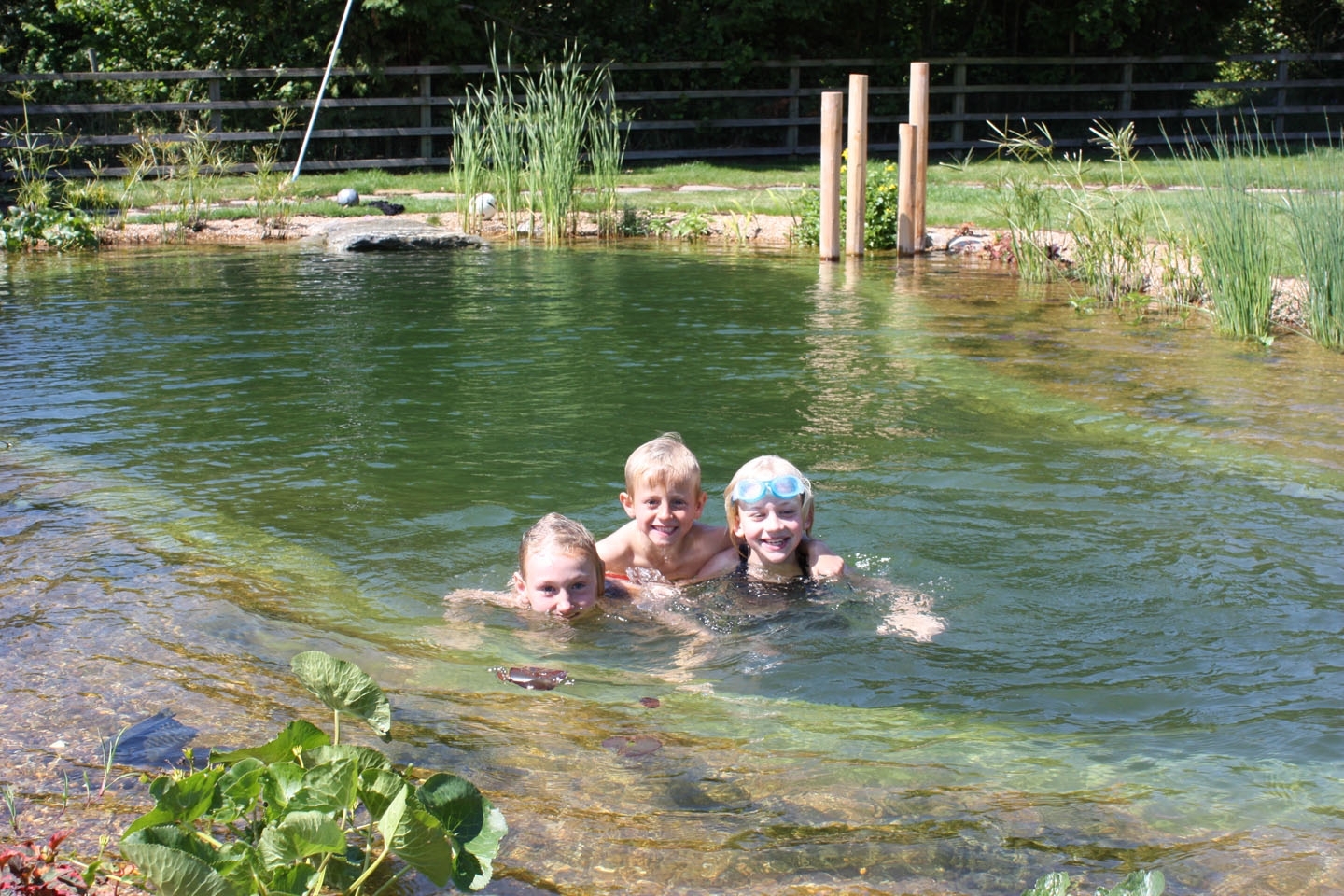 Gartenart | Portfolio | Swimming pond, Hertfordshire