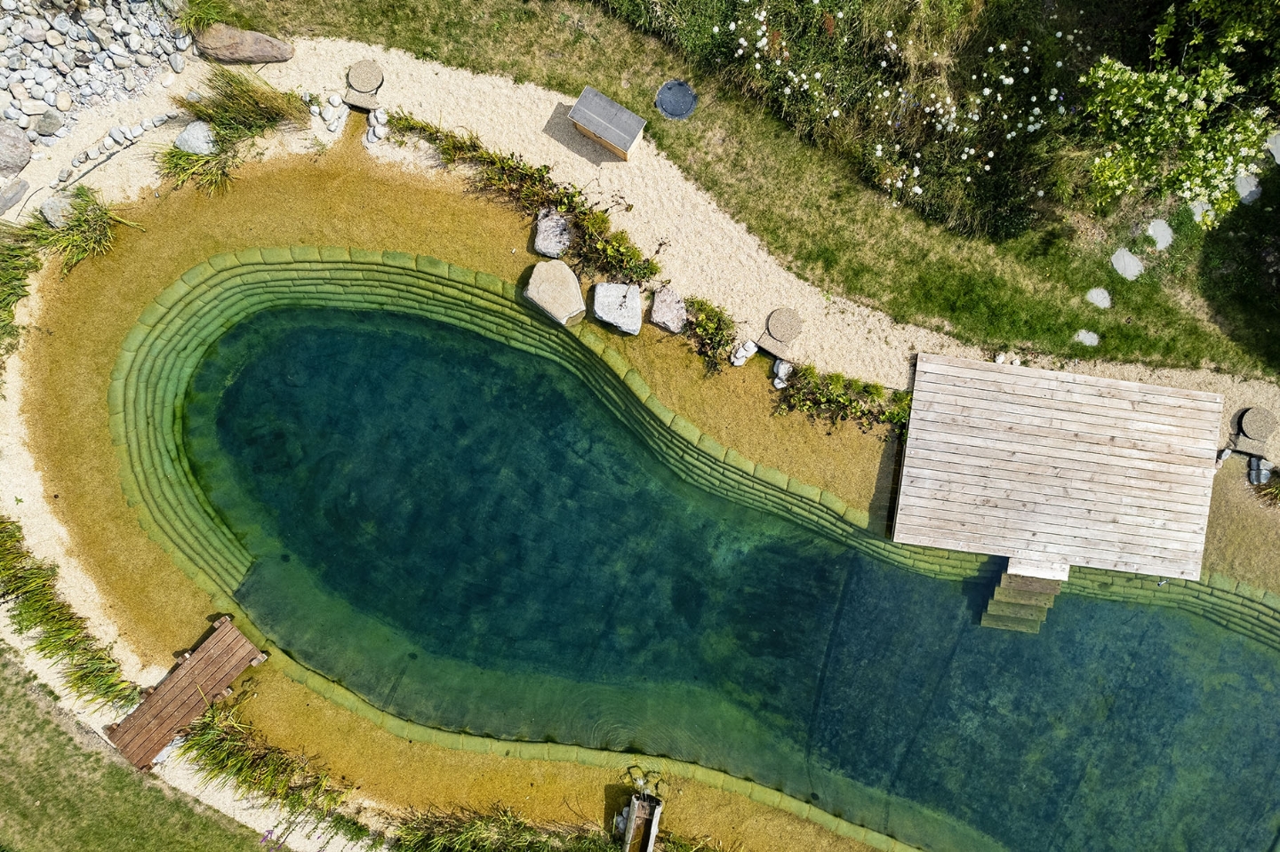 Swimming pond in Hampshire