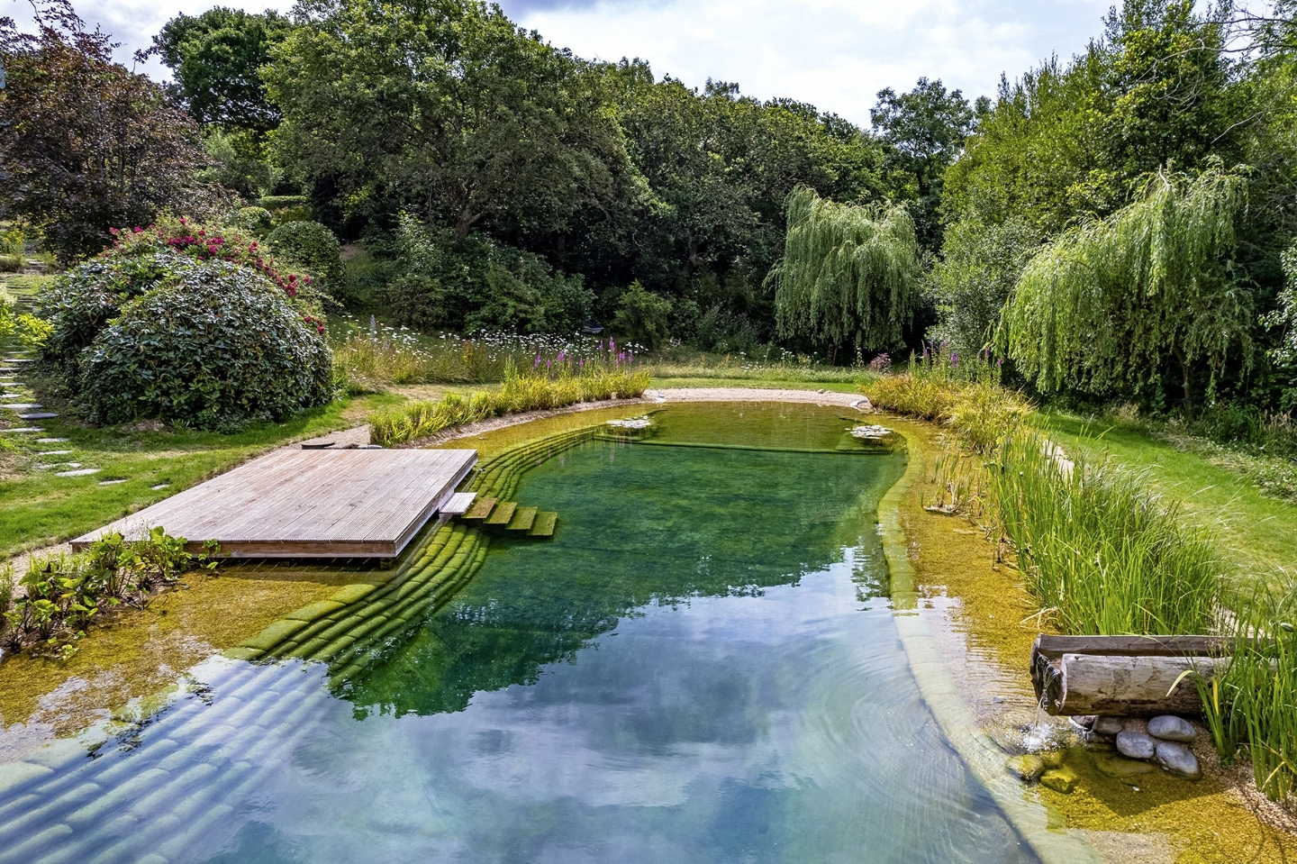 Swimming pond in Hampshire