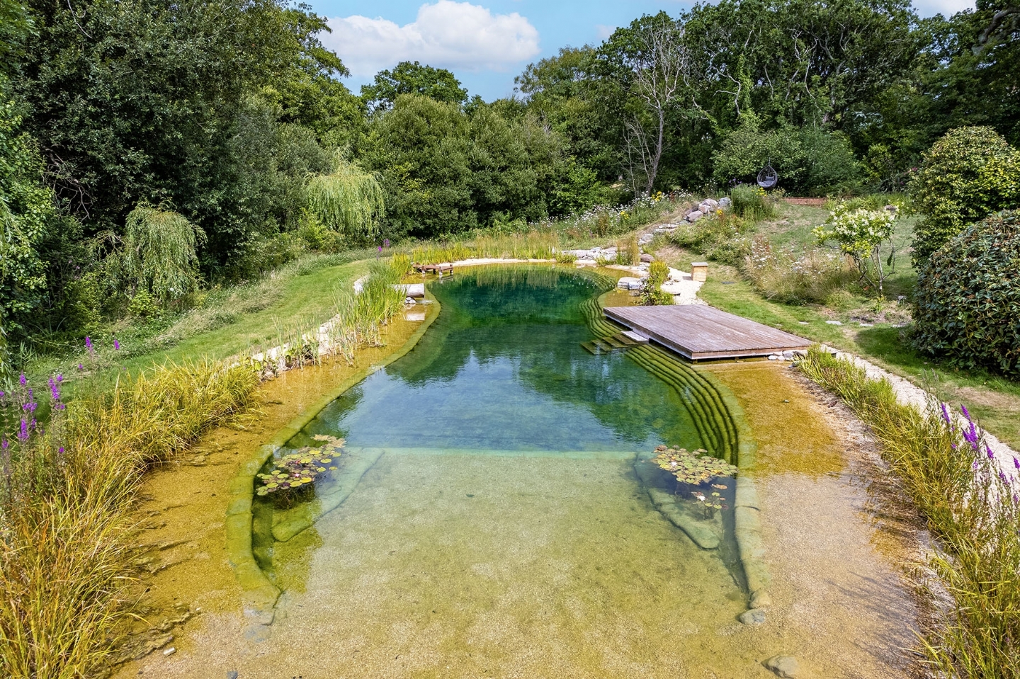 Swimming pond in Hampshire