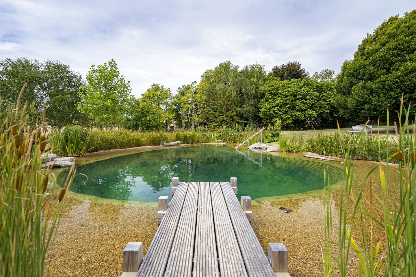 Swimming pond in Oxfordshire