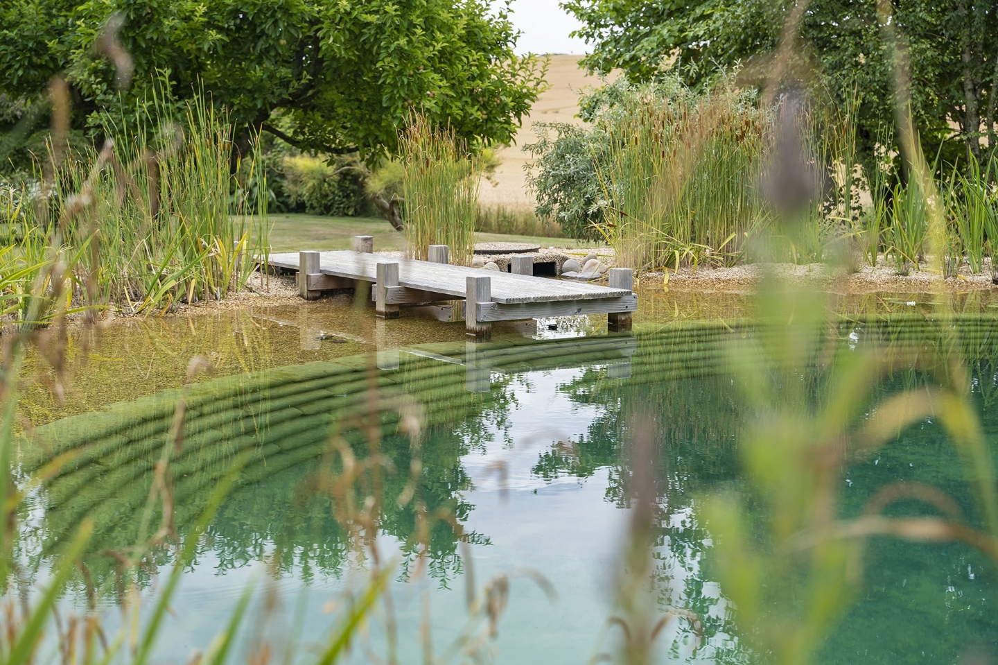 Swimming pond in Oxfordshire