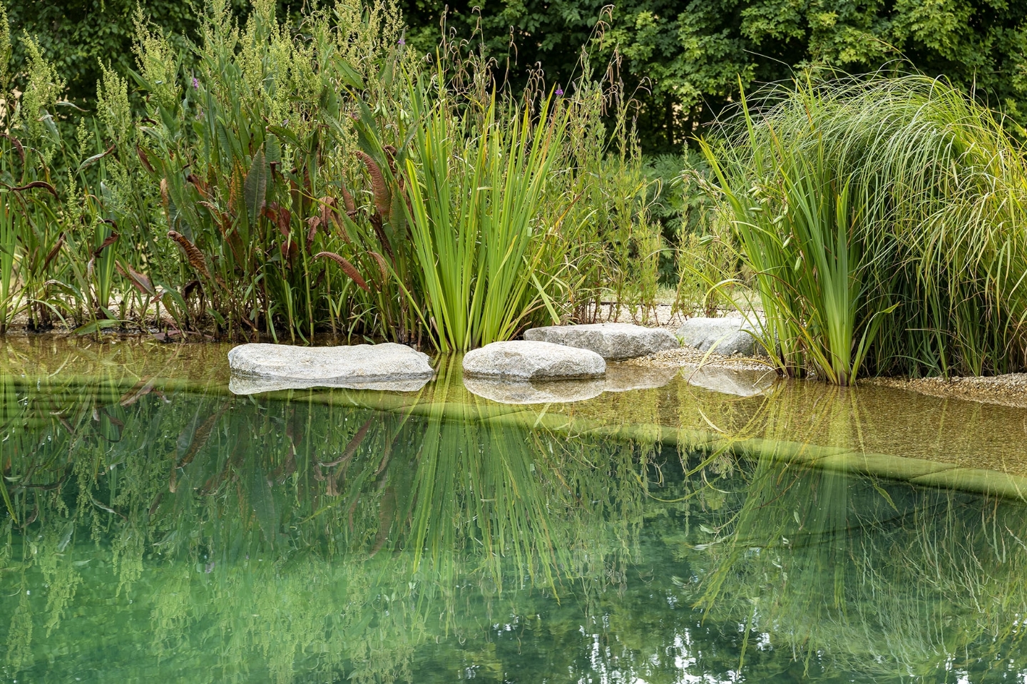 Swimming pond in Oxfordshire