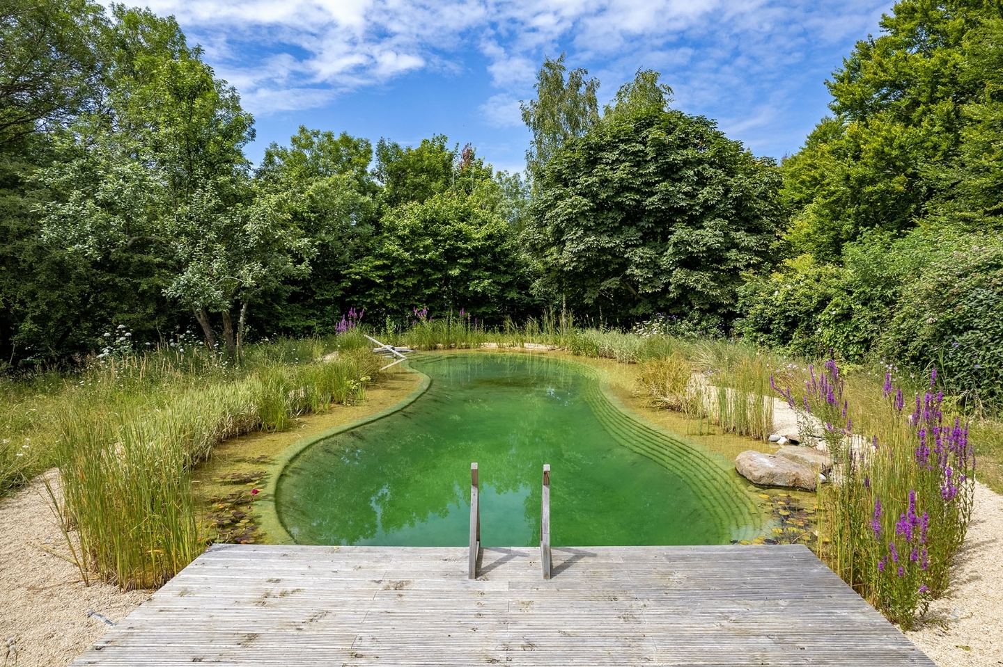 Swimming ponds summer July and August 2024