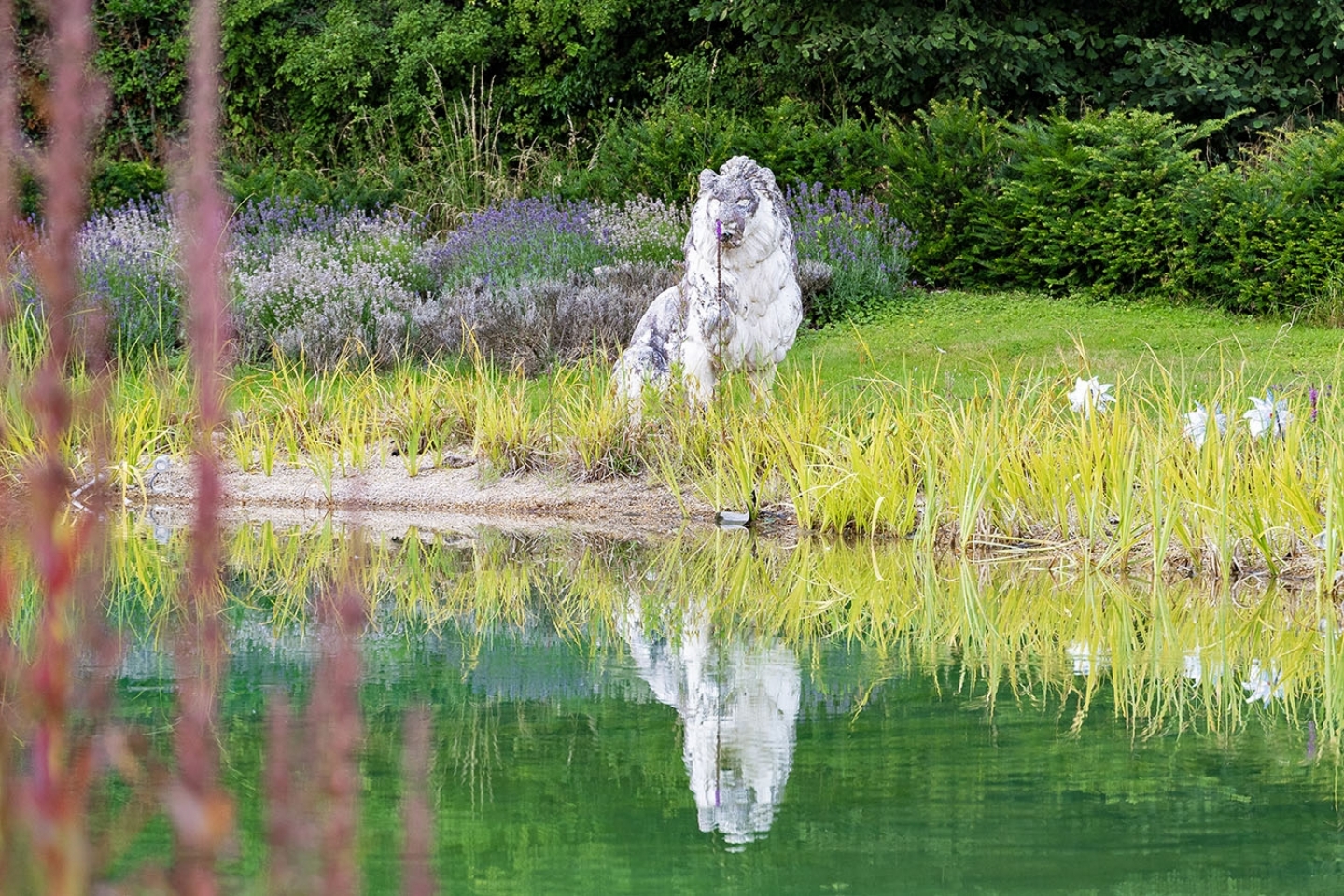 Swimming pond in Hampshire