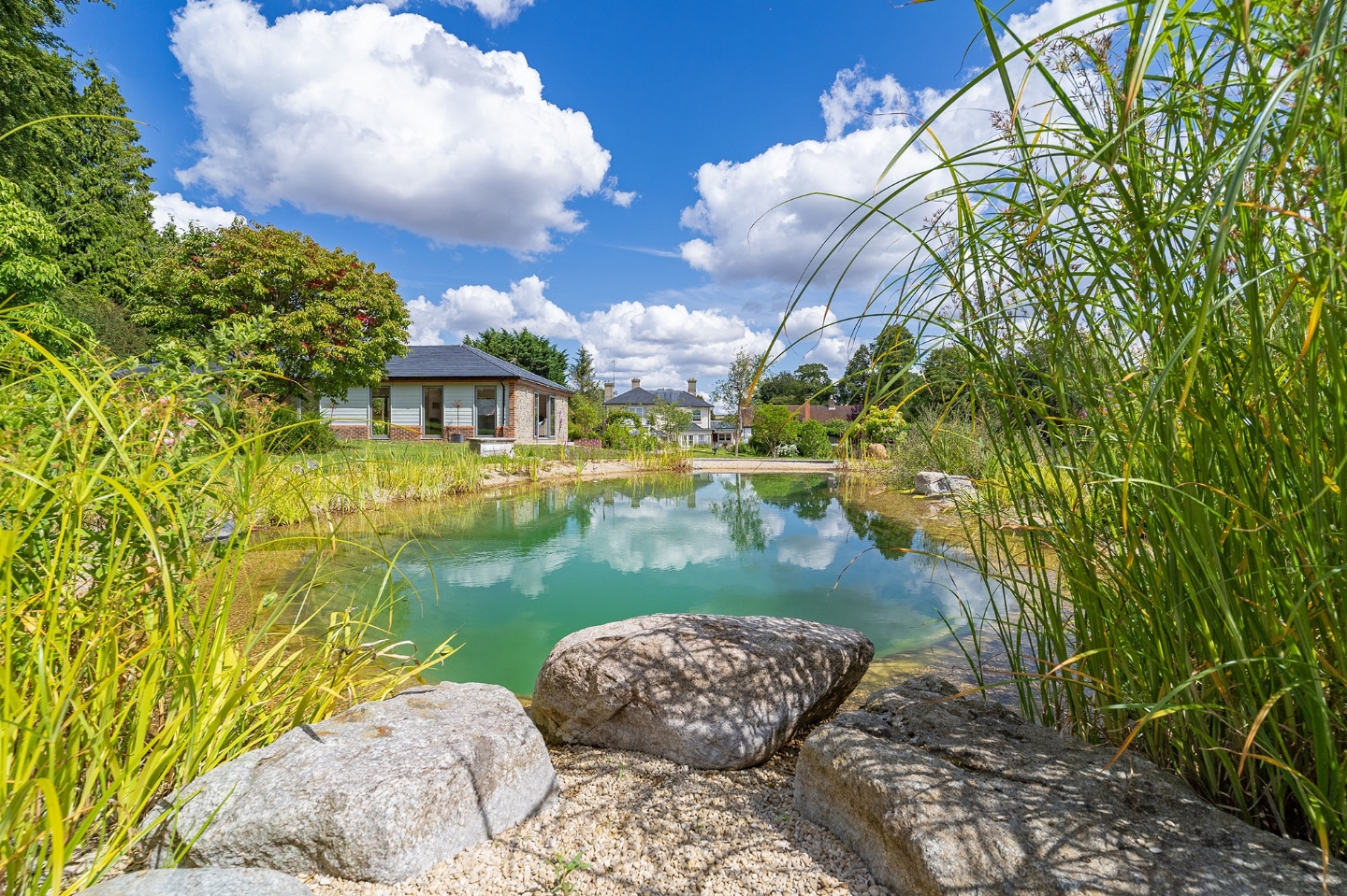 Swimming pond in Hampshire