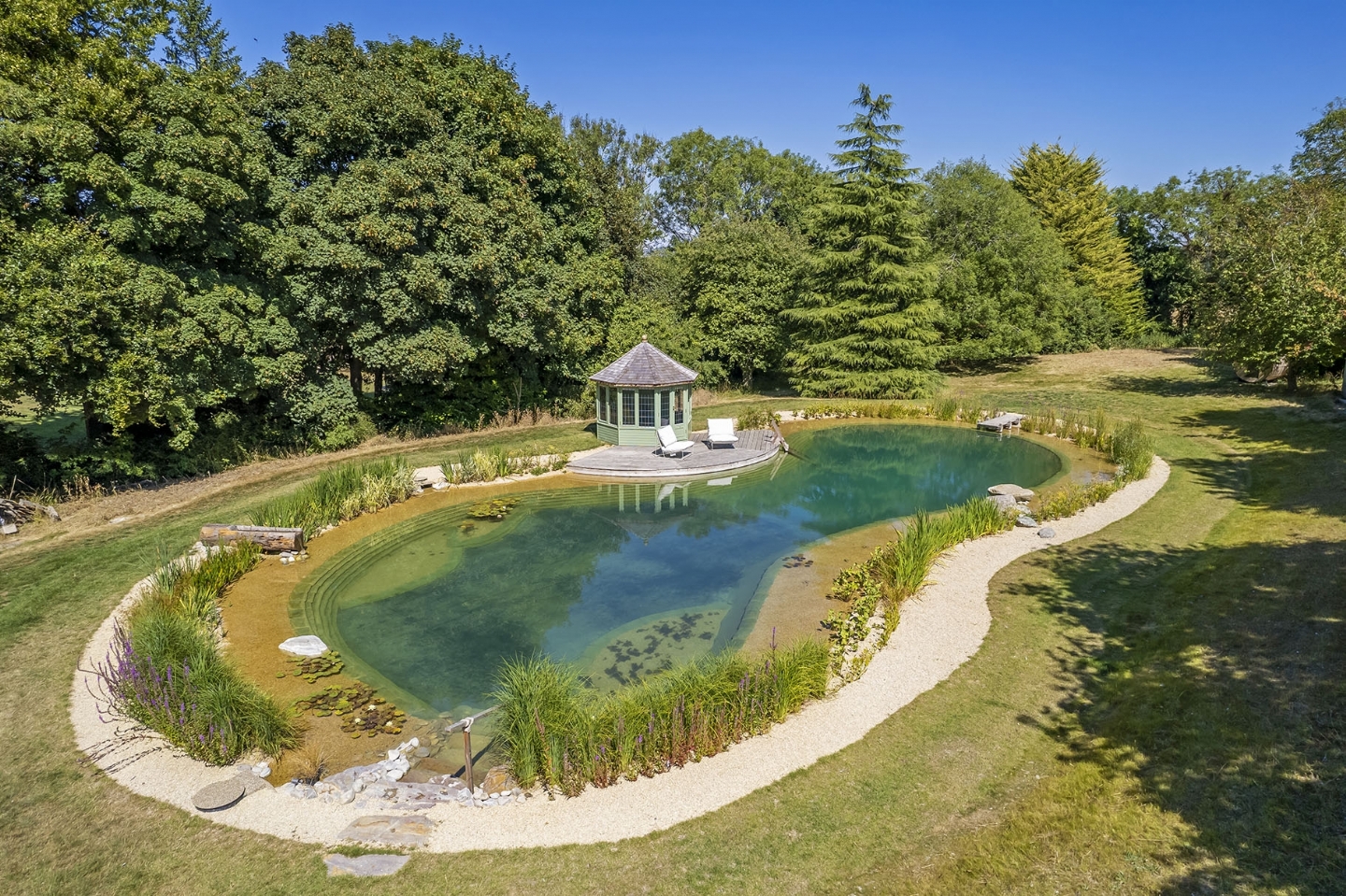 Swimming pond in Herts/Bucks