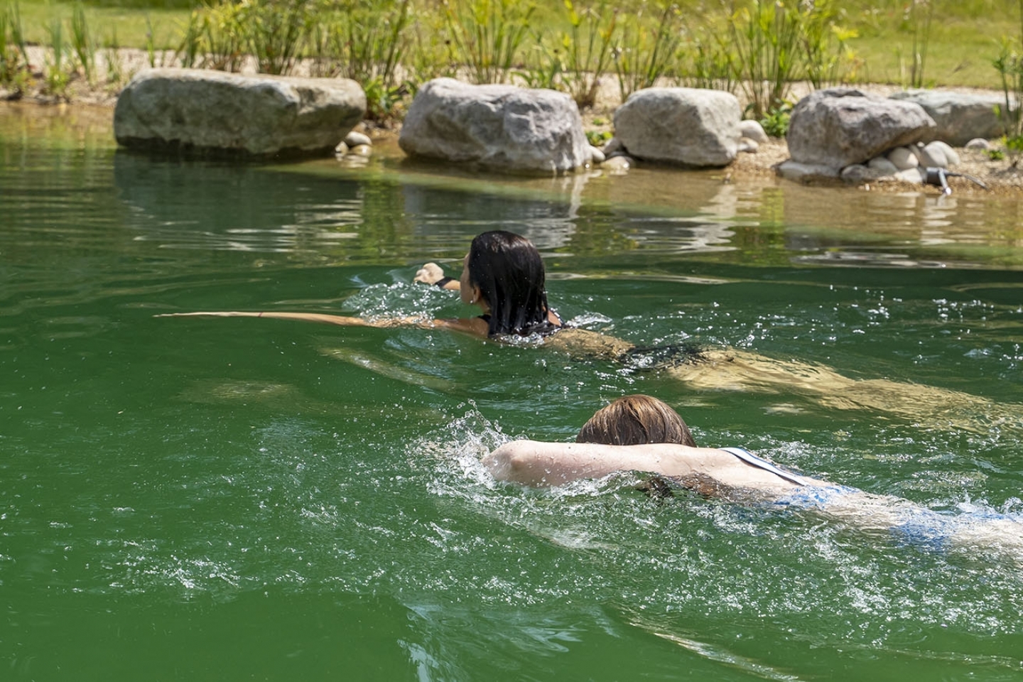 Swimming pond in Herts/Bucks