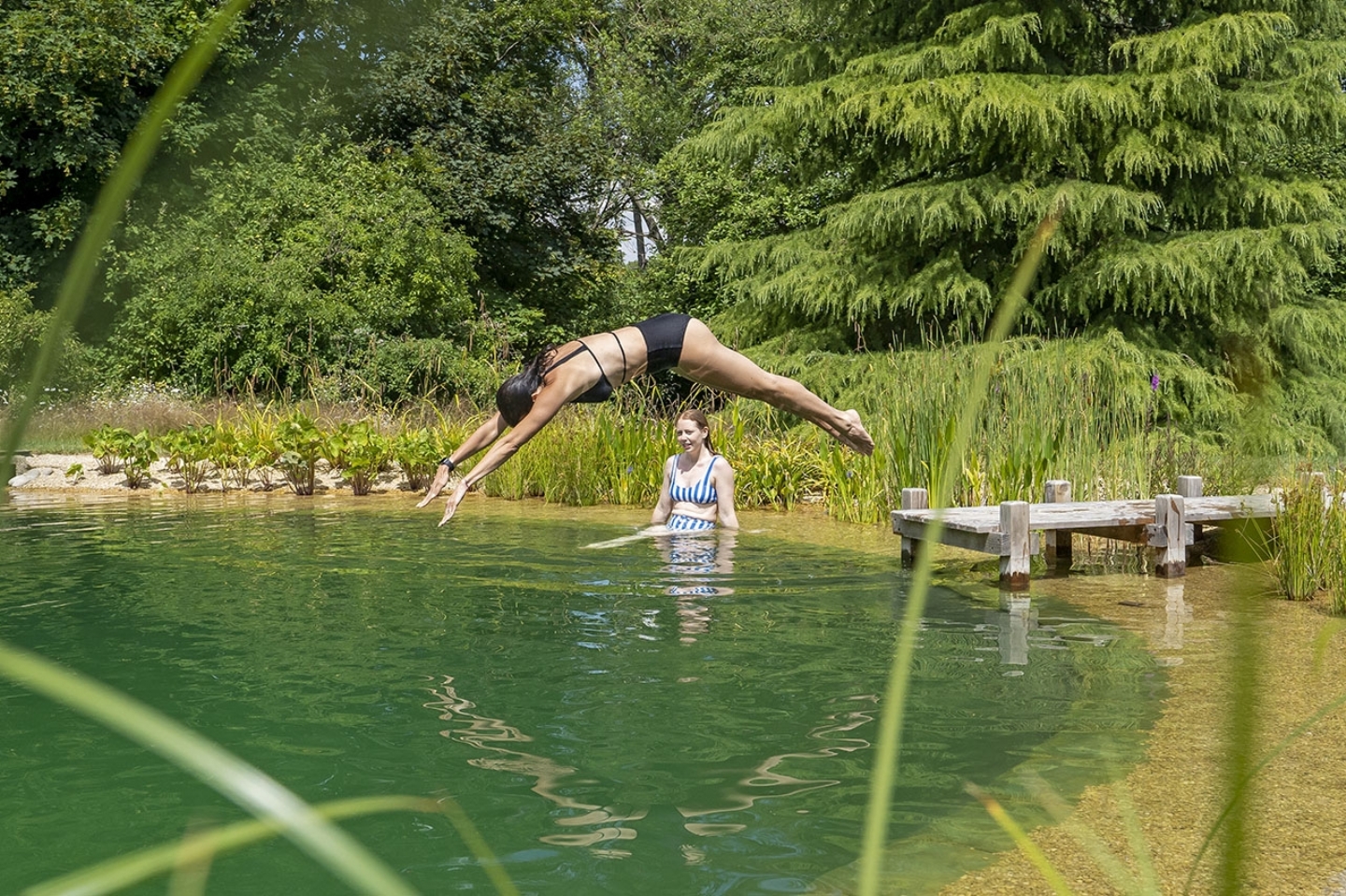 Swimming pond in Herts/Bucks