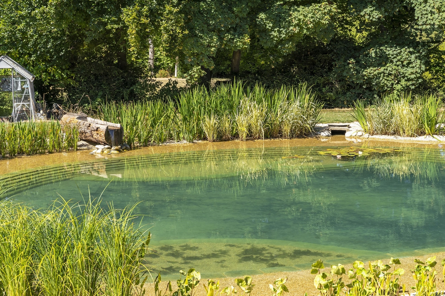 Swimming pond in Herts/Bucks