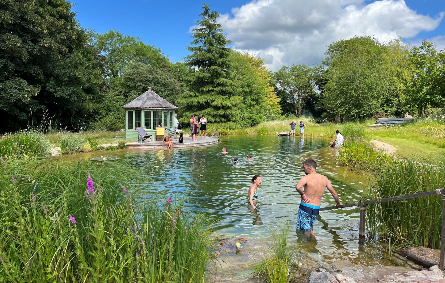 Swimming pond in Herts/Bucks