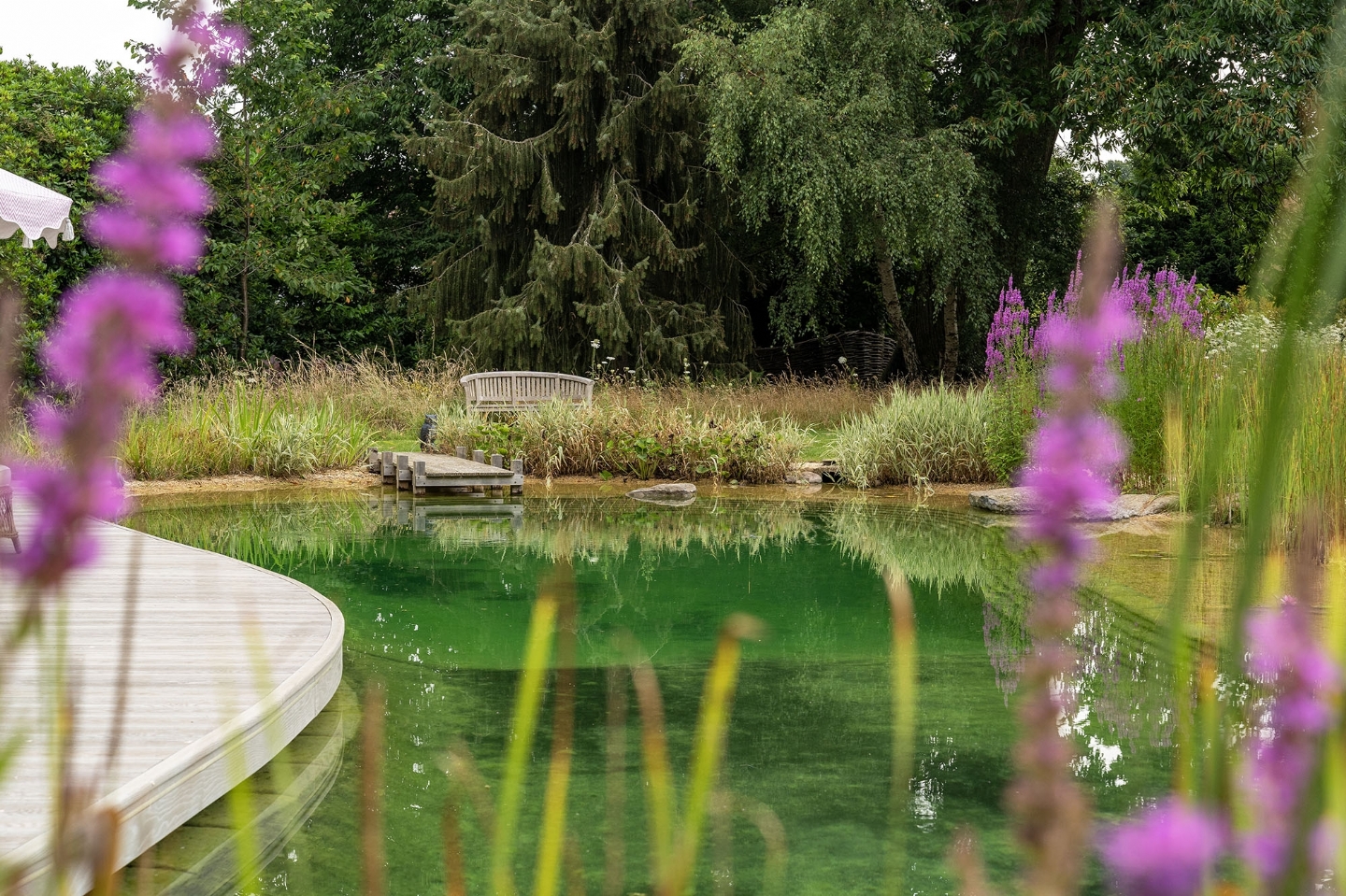 Swimming pond in West Sussex