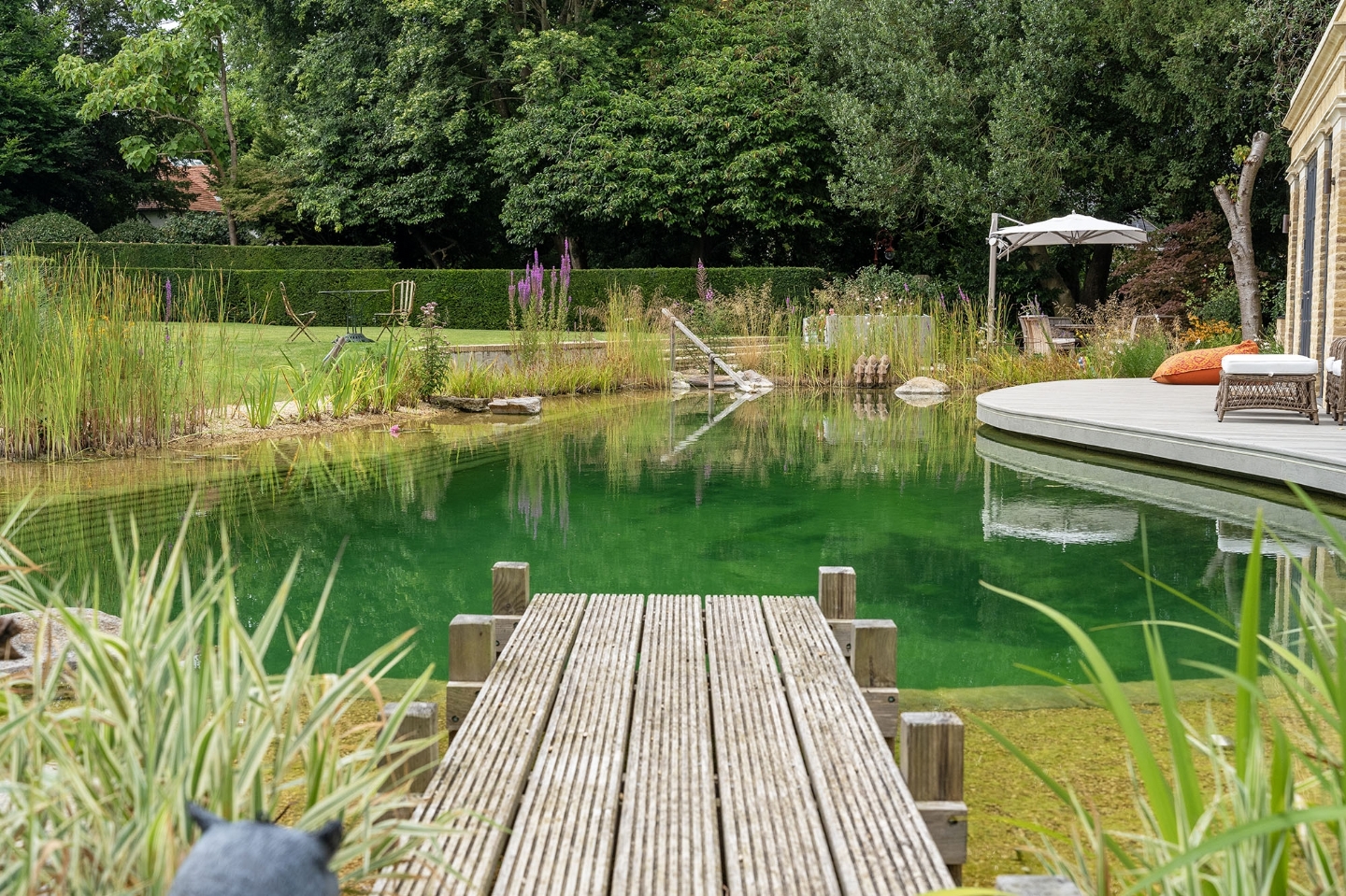 Swimming pond in West Sussex