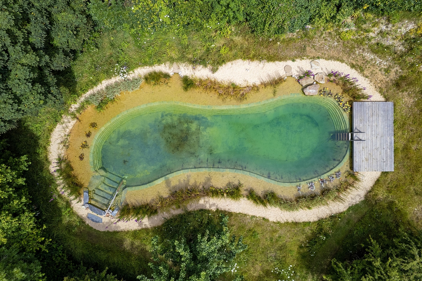 Swimming pond in East Sussex