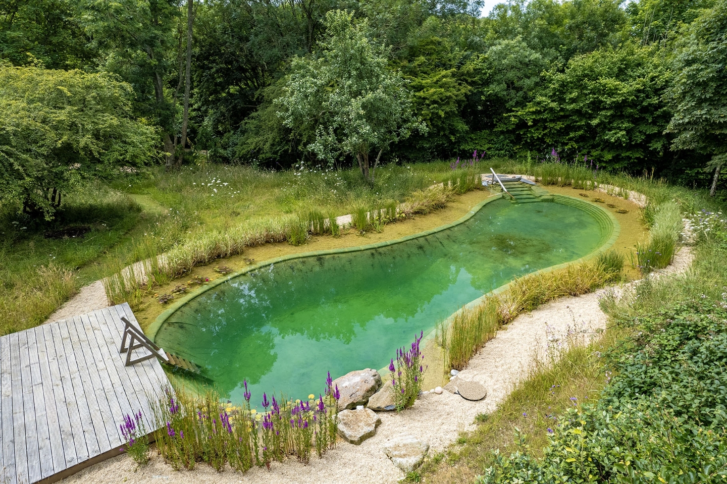 Swimming pond in East Sussex