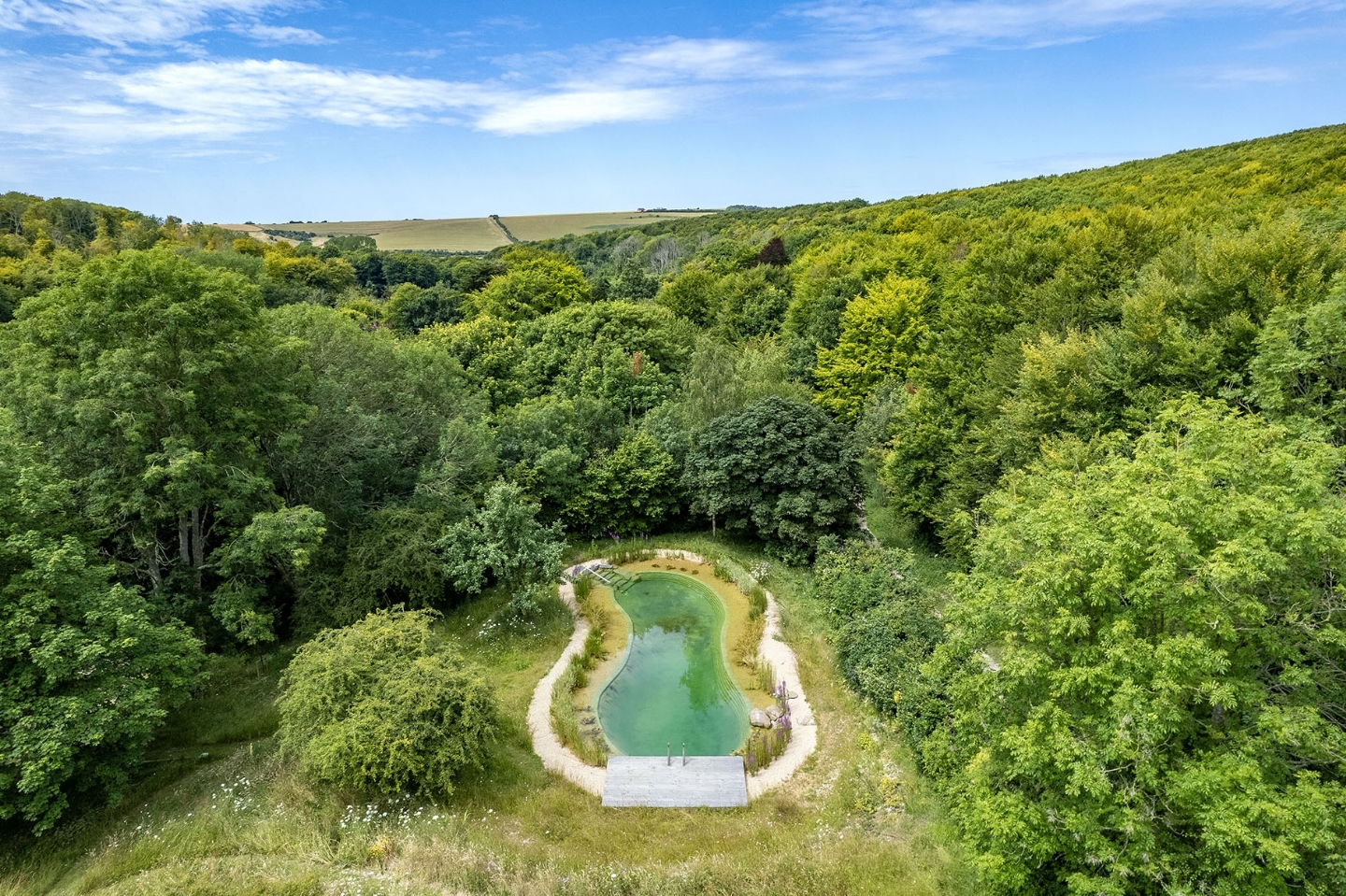 Swimming pond in East Sussex