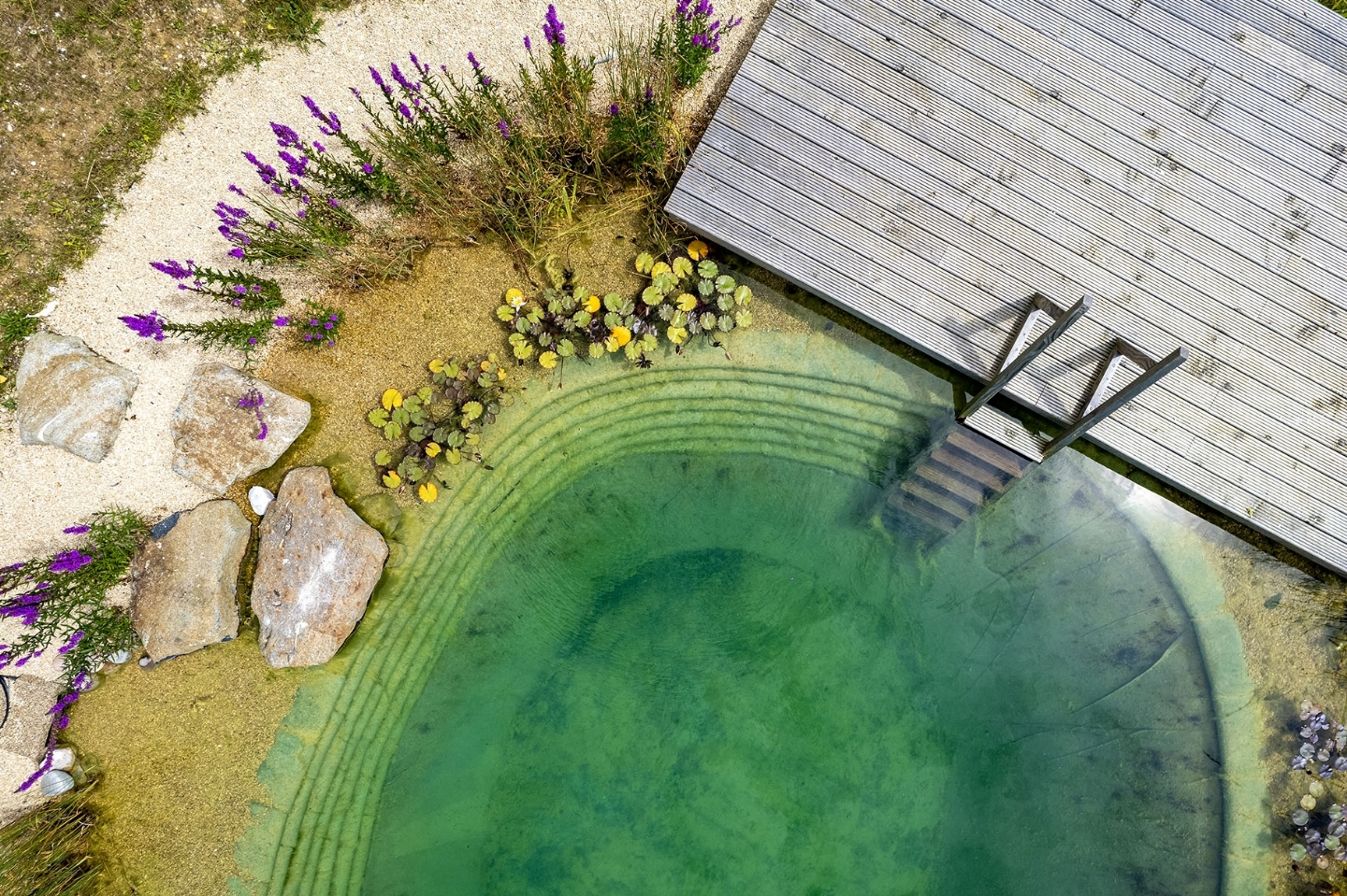 Swimming pond in East Sussex