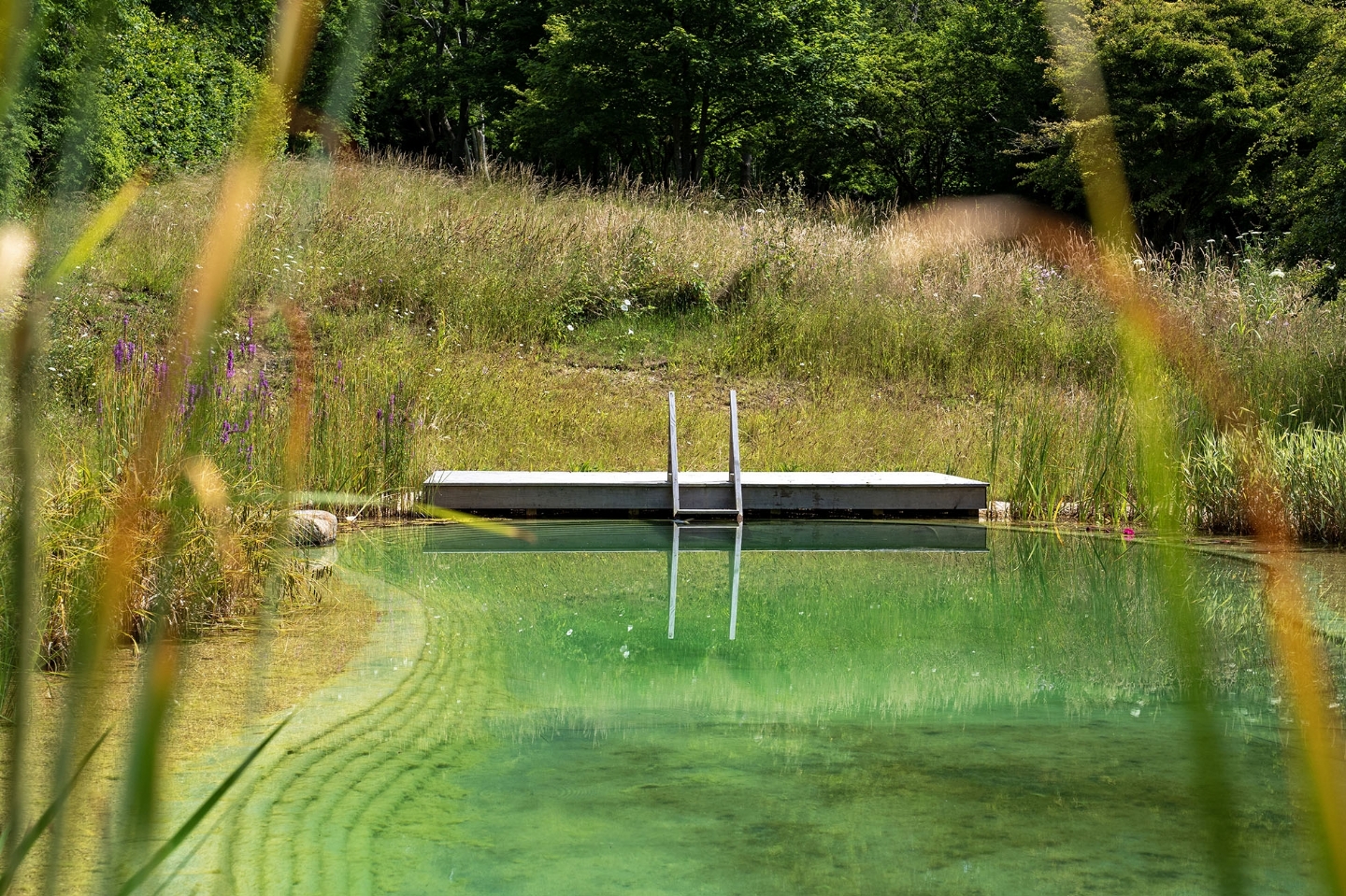 Swimming pond in East Sussex