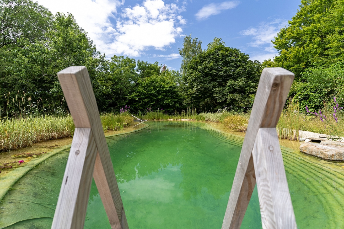 Swimming pond in East Sussex