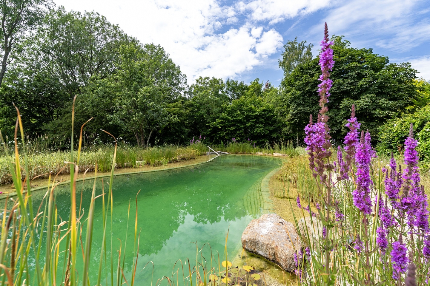 Swimming pond in East Sussex