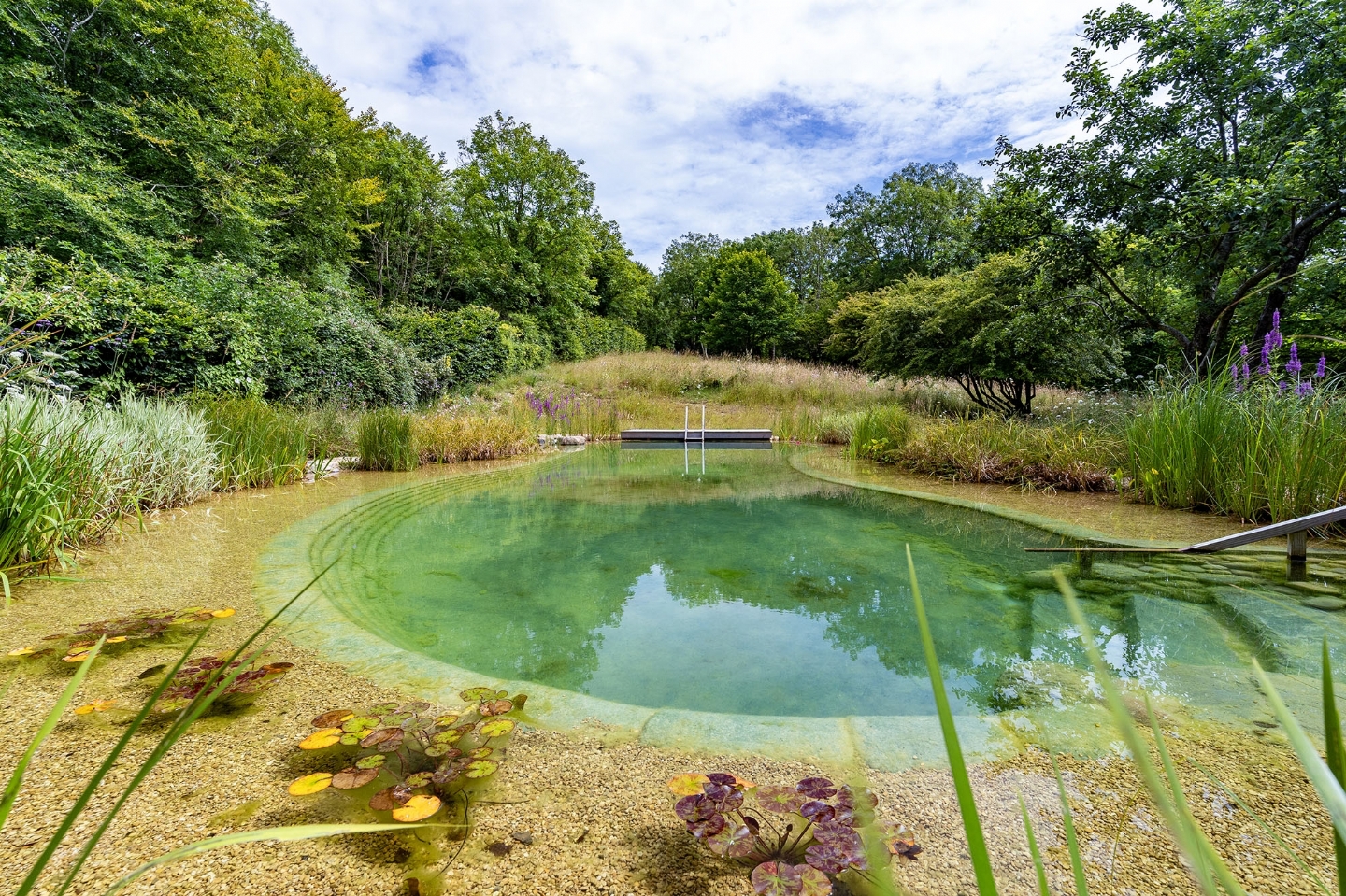 Swimming pond in East Sussex