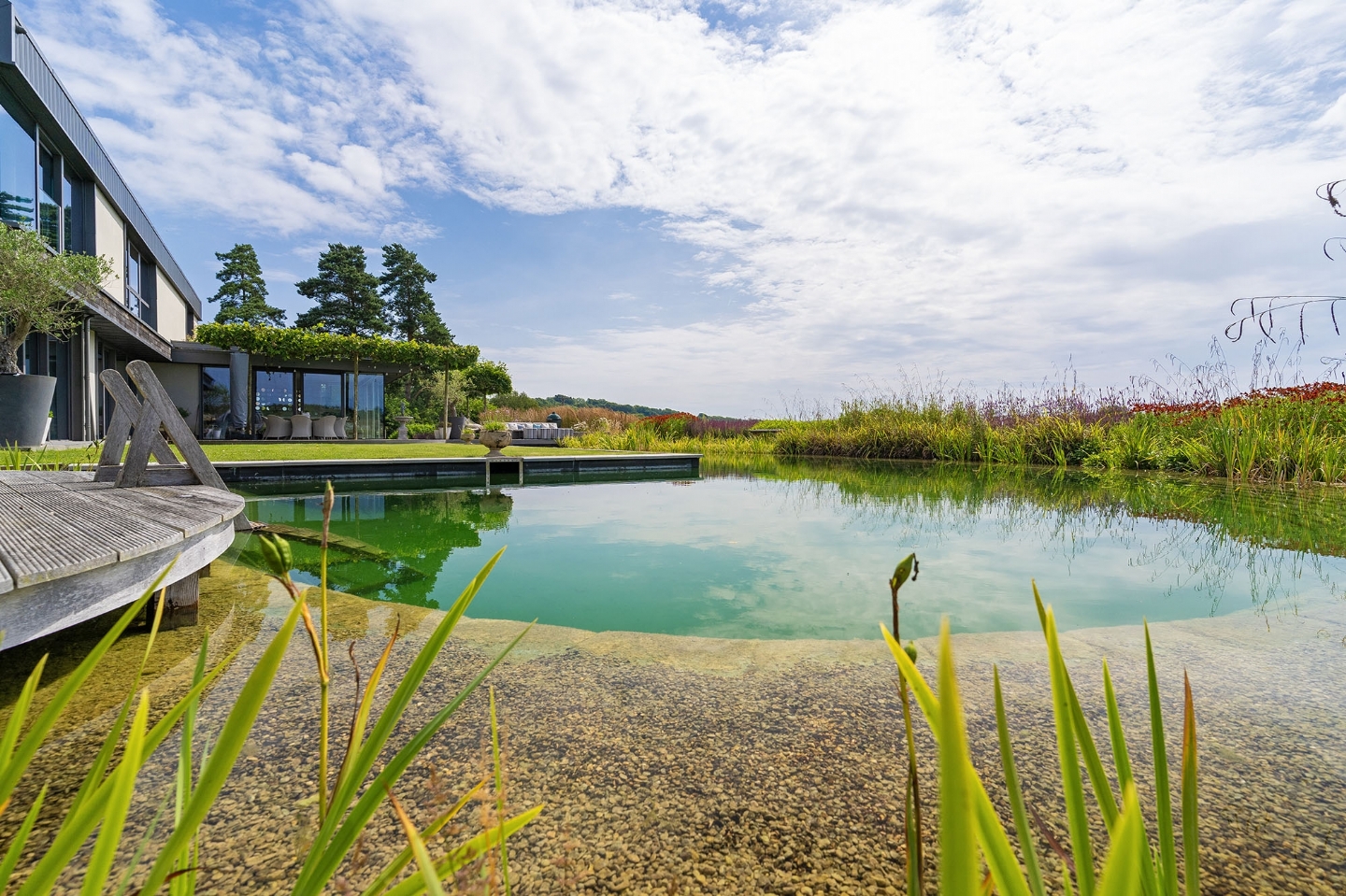 Swimming pond in Surrey