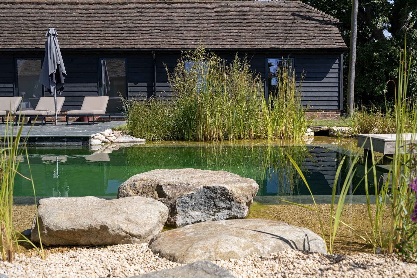 Swimming pond in East Sussex