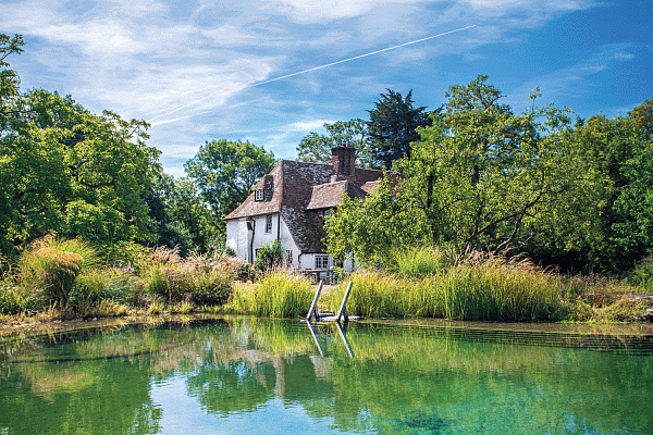 Swimming Pond Kent 2015