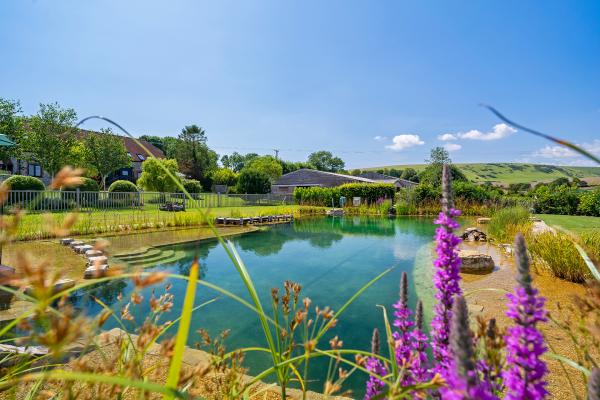 Swimming Pond East Sussex 2019a